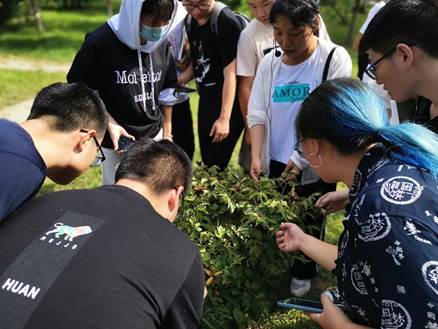 说明: D:\史雷(以前电脑文件)2014.9-2020.6\D盘\D-史雷\@植物学教学资料@\植物学\植物学实习\2020植物学实习\实习照片\QQ图片20200824104021.jpg